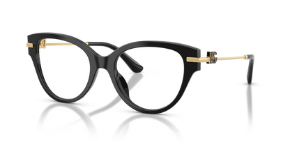 DOLCE &amp; GABBANA DG3438 501 53