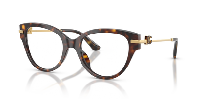 DOLCE &amp; GABBANA DG3438 502 53