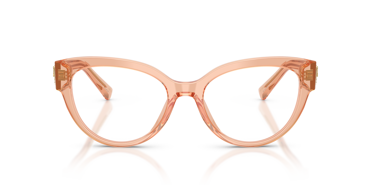 DOLCE &amp; GABBANA DG3440 3226 54