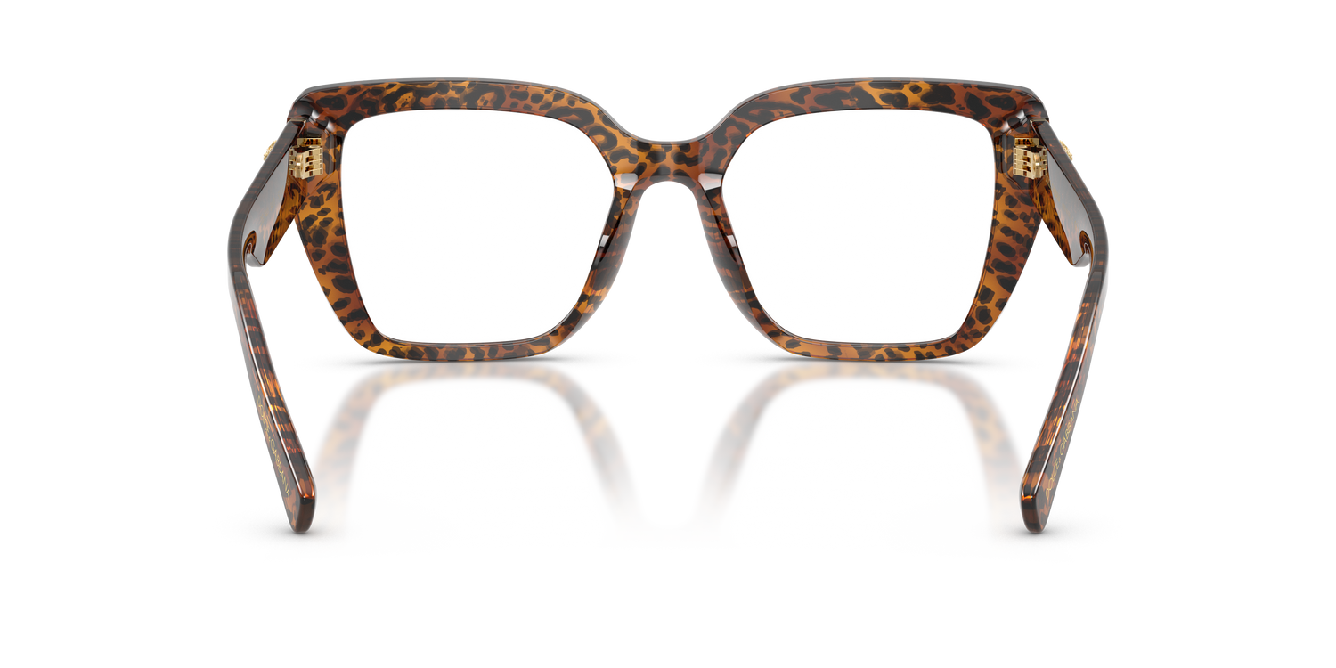 DOLCE &amp; GABBANA DG3441 3470 53