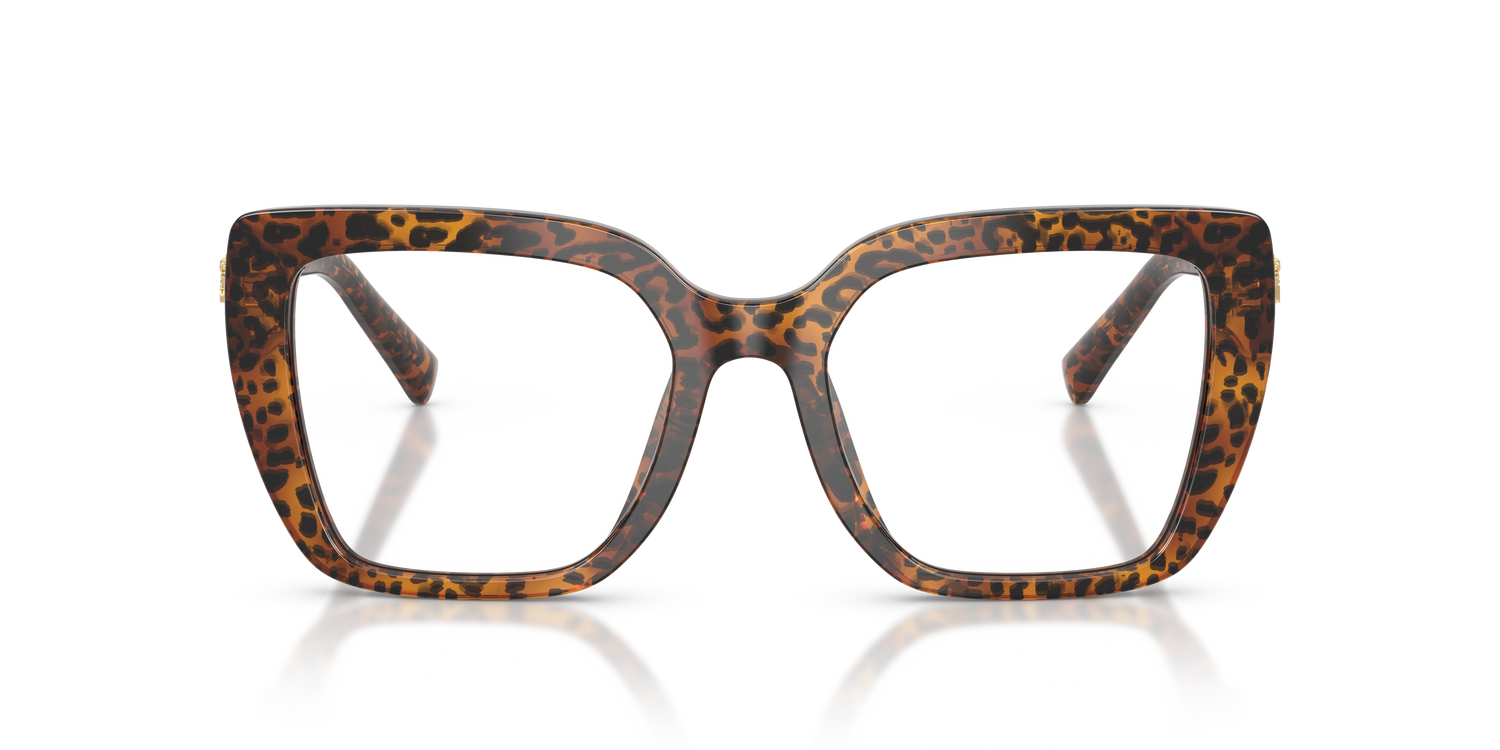 DOLCE &amp; GABBANA DG3441 3470 53