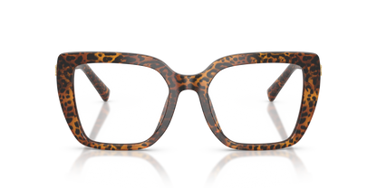 DOLCE &amp; GABBANA DG3441 3470 53