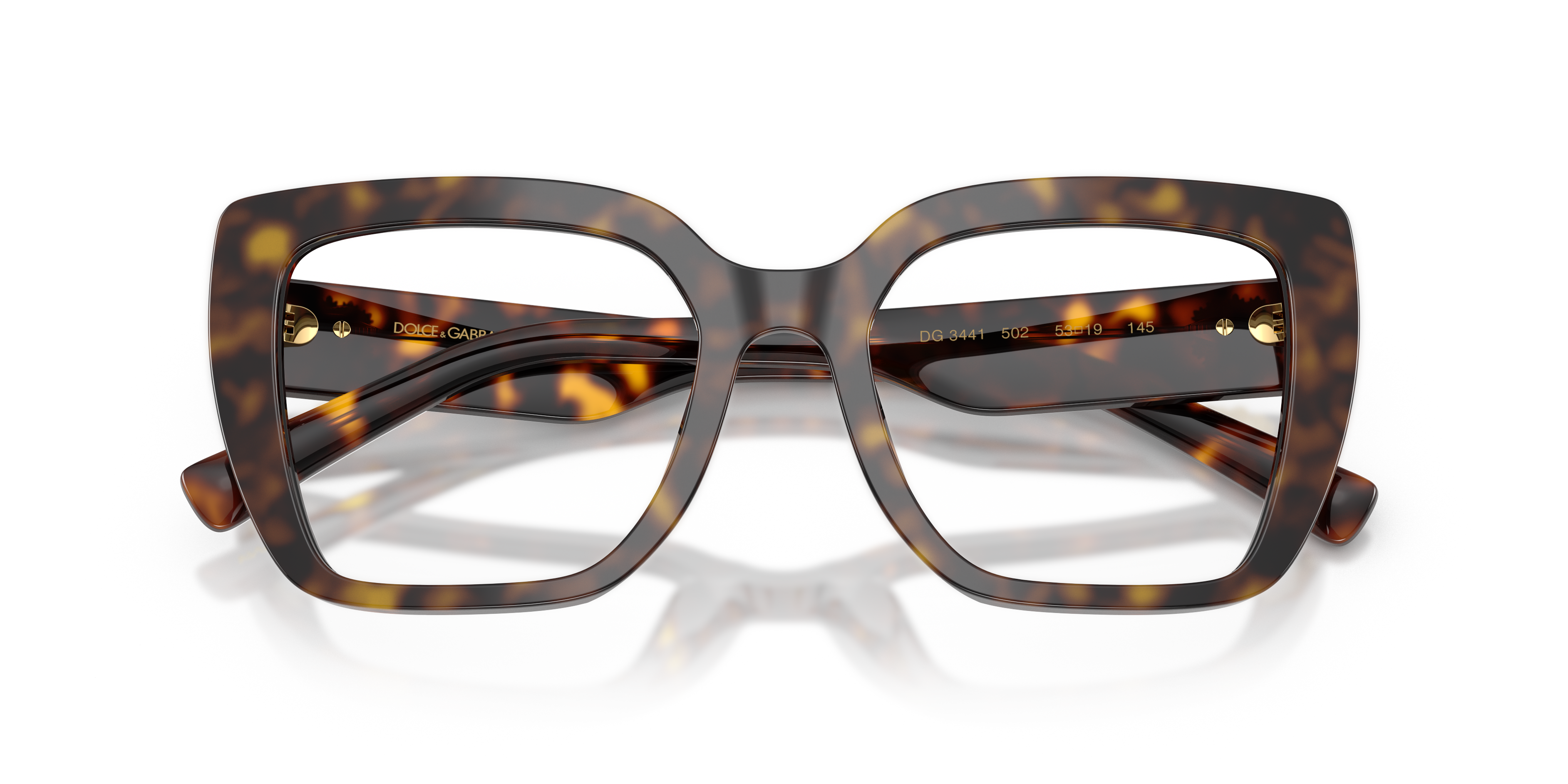DOLCE &amp; GABBANA DG3441 502 53