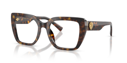 DOLCE &amp; GABBANA DG3441 502 53