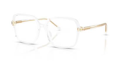 DOLCE &amp; GABBANA DG3442 3133 53