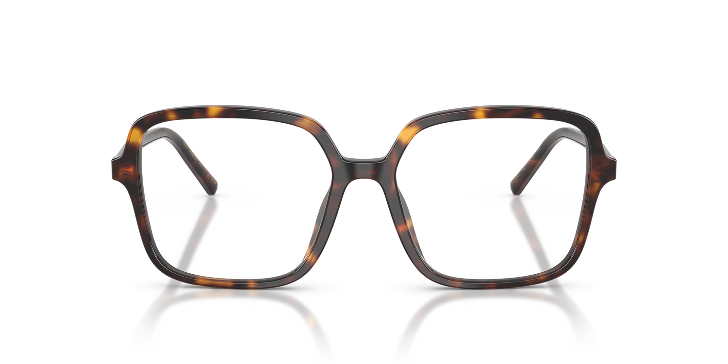 DOLCE &amp; GABBANA DG3442 502 55