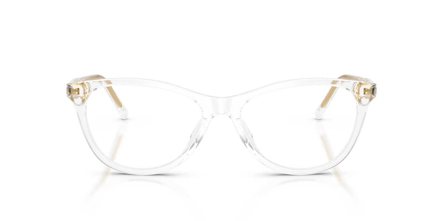 DOLCE &amp; GABBANA DG3443 3133 55