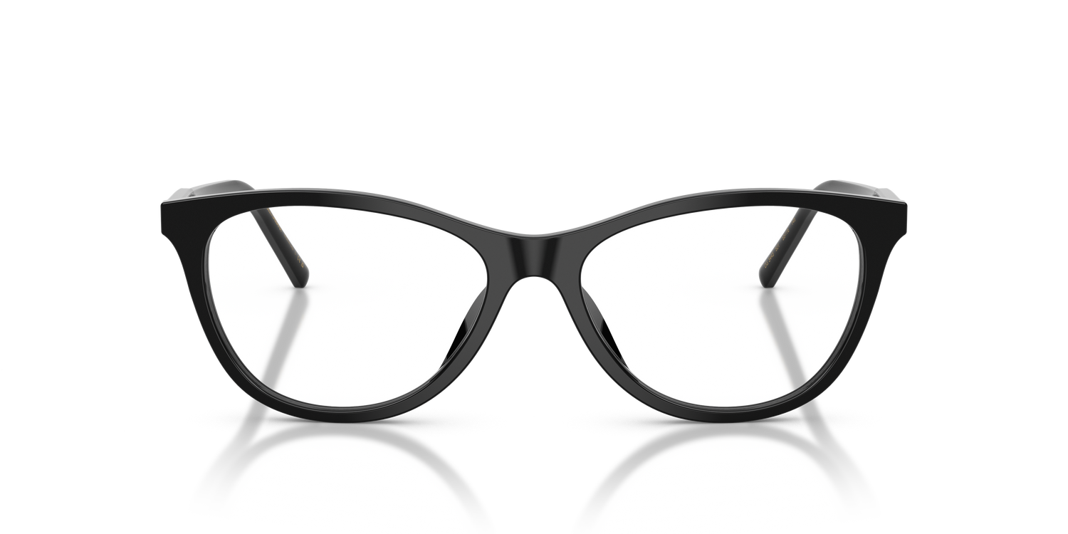 DOLCE &amp; GABBANA DG3443 501 53