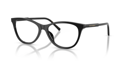 DOLCE &amp; GABBANA DG3443 501 53