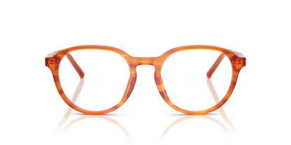 DOLCE &amp; GABBANA DG3444 3483 50