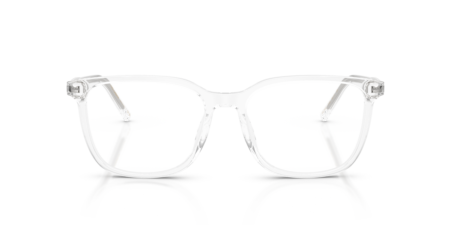 DOLCE &amp; GABBANA DG3445 3133 55