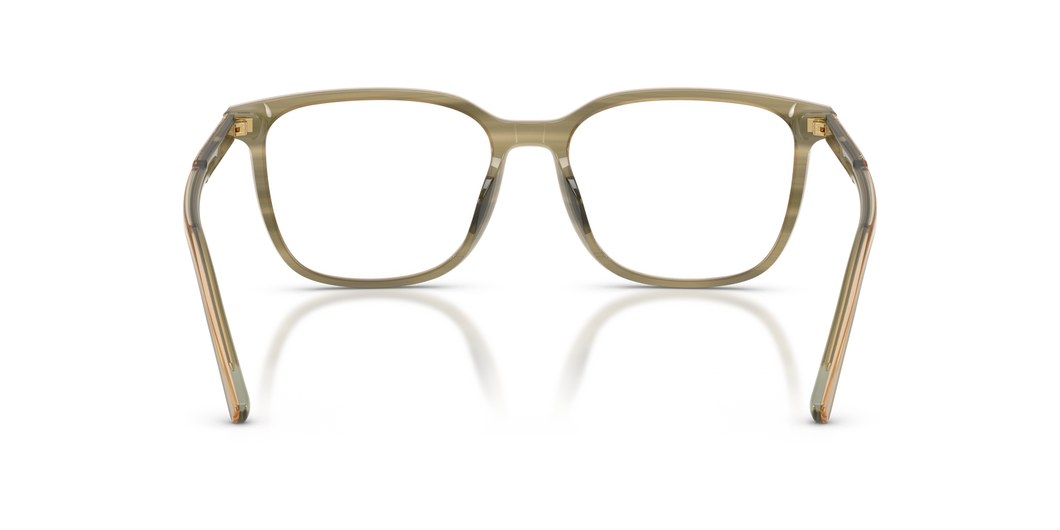 DOLCE &amp; GABBANA DG3445 3480 53