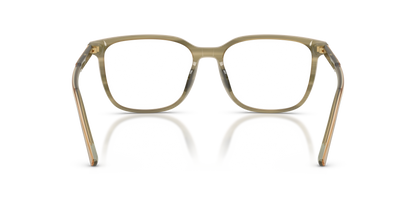 DOLCE &amp; GABBANA DG3445 3480 53