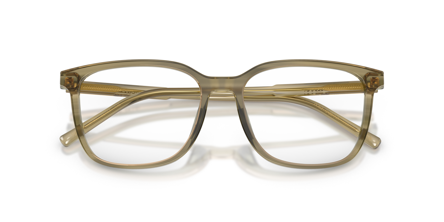 DOLCE &amp; GABBANA DG3445 3480 53