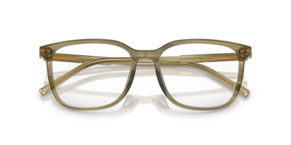 DOLCE &amp; GABBANA DG3445 3480 53