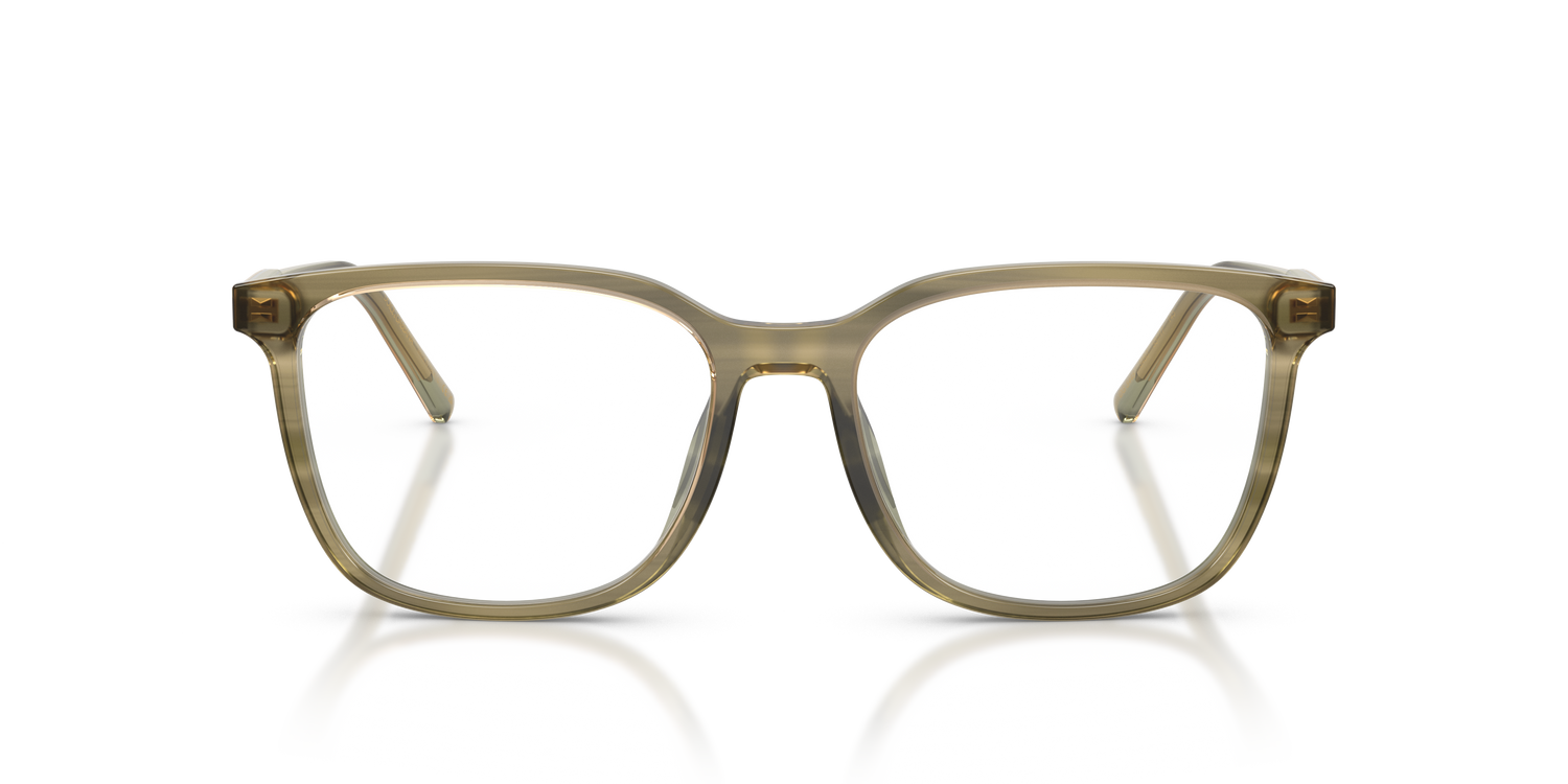 DOLCE &amp; GABBANA DG3445 3480 53
