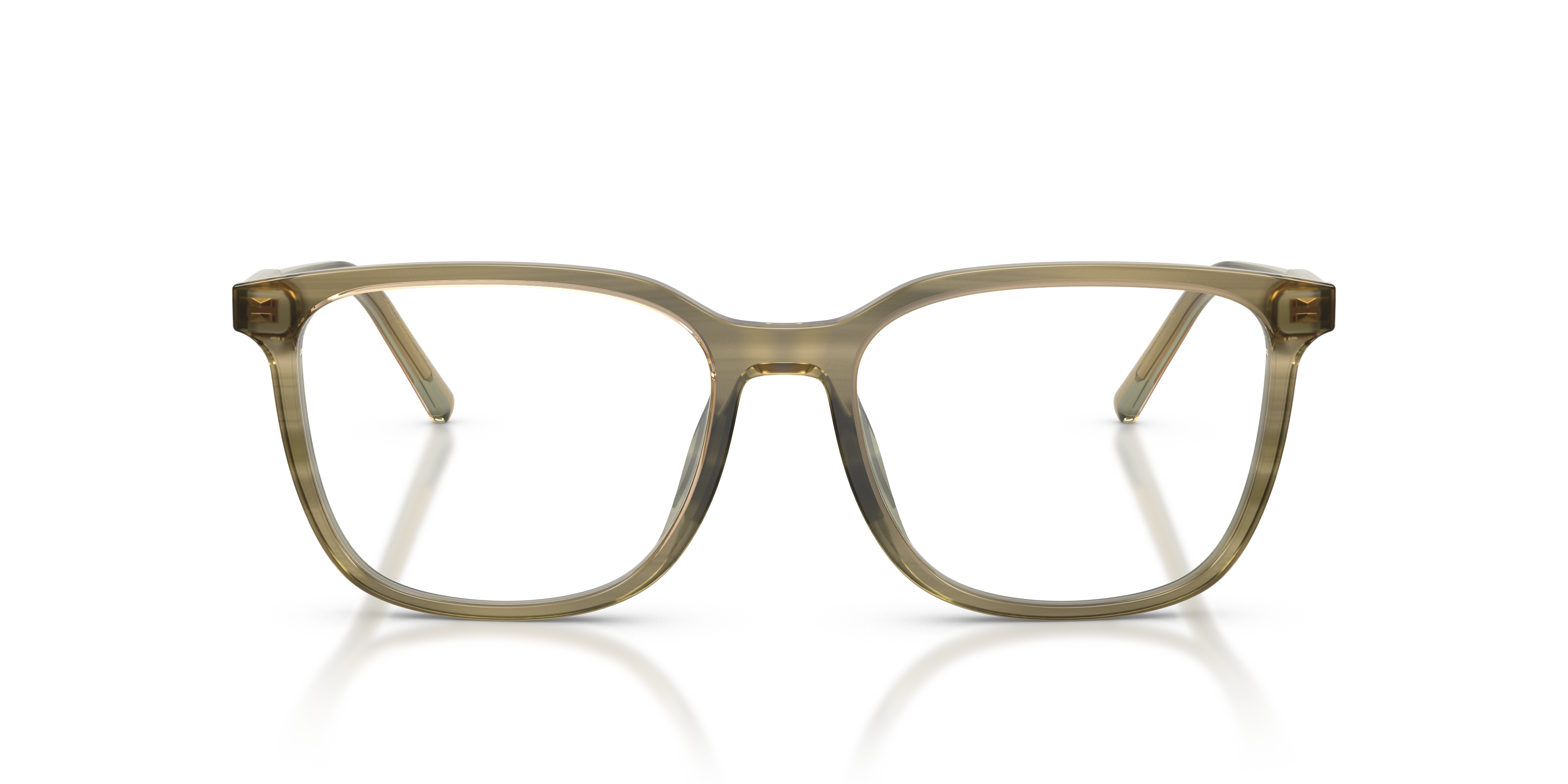 DOLCE &amp; GABBANA DG3445 3480 53