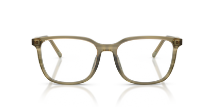 DOLCE &amp; GABBANA DG3445 3480 53