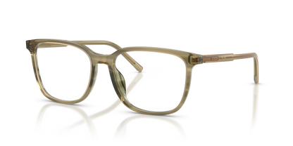 DOLCE &amp; GABBANA DG3445 3480 53