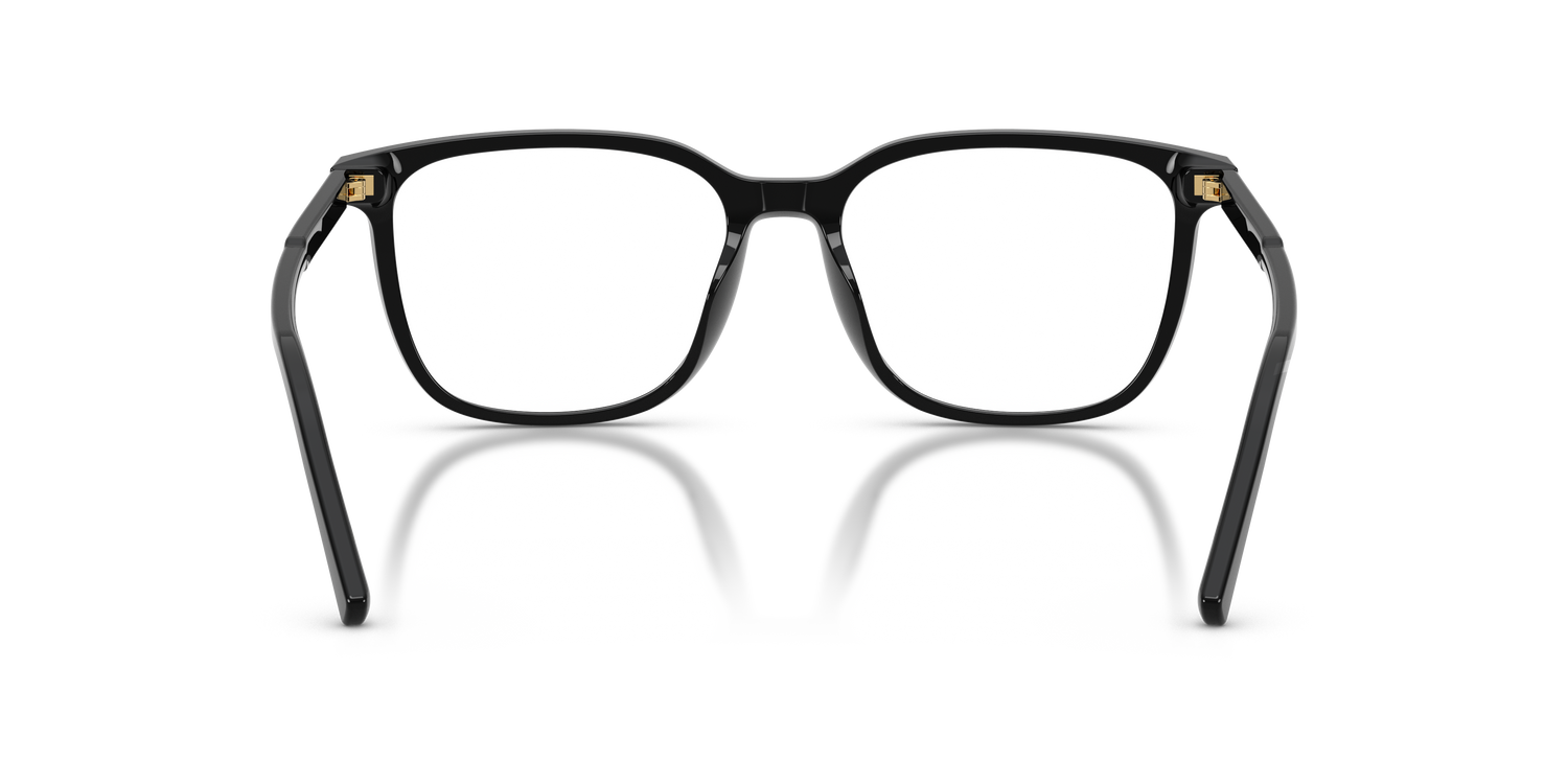 DOLCE &amp; GABBANA DG3445 501 55