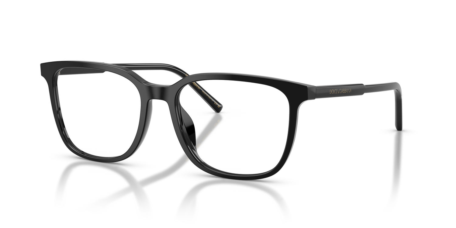 DOLCE &amp; GABBANA DG3445 501 55