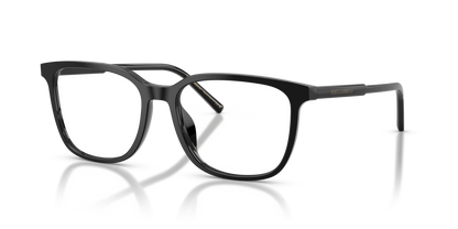 DOLCE &amp; GABBANA DG3445 501 55
