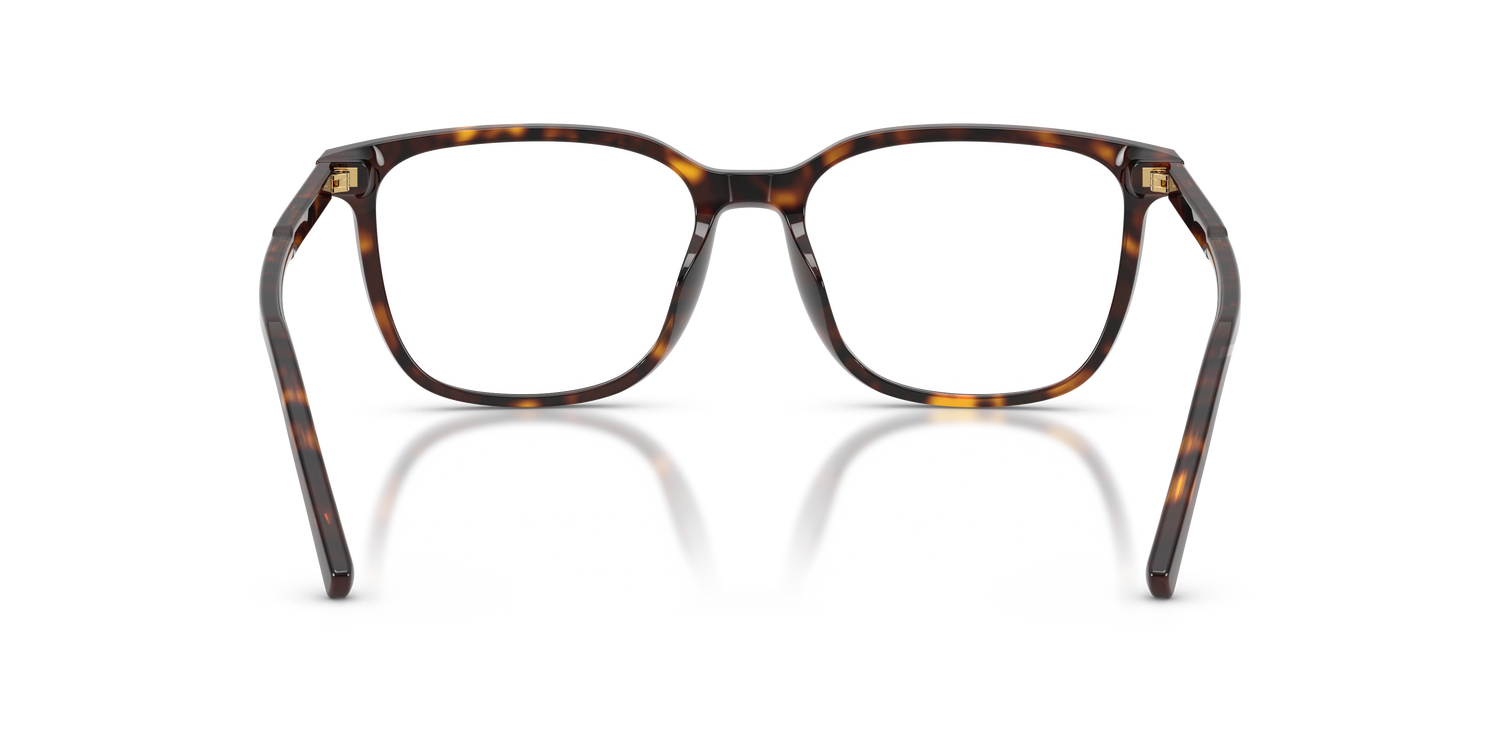 DOLCE &amp; GABBANA DG3445 502 55