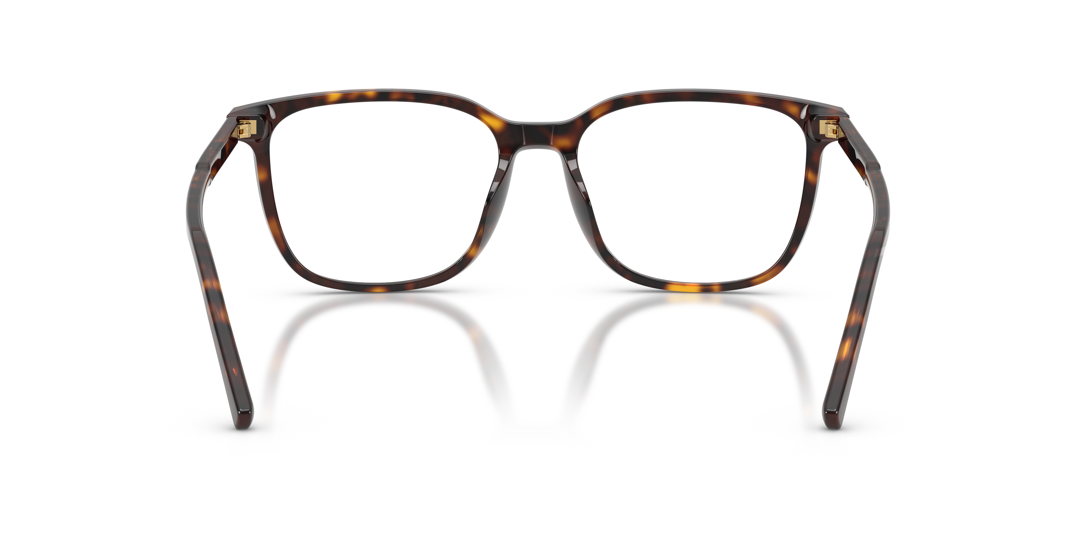 DOLCE &amp; GABBANA DG3445 502 55