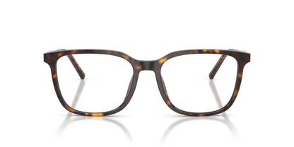 DOLCE &amp; GABBANA DG3445 502 55