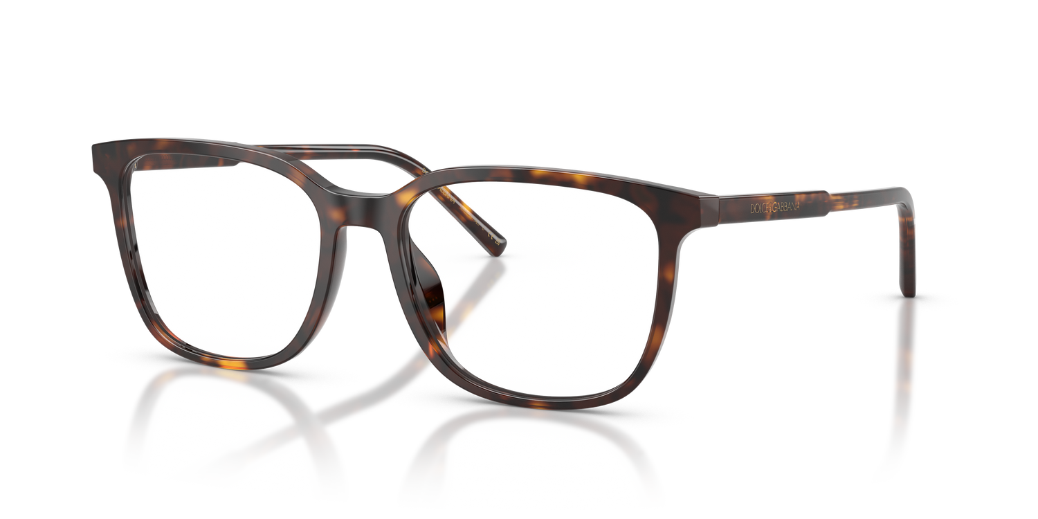 DOLCE &amp; GABBANA DG3445 502 55