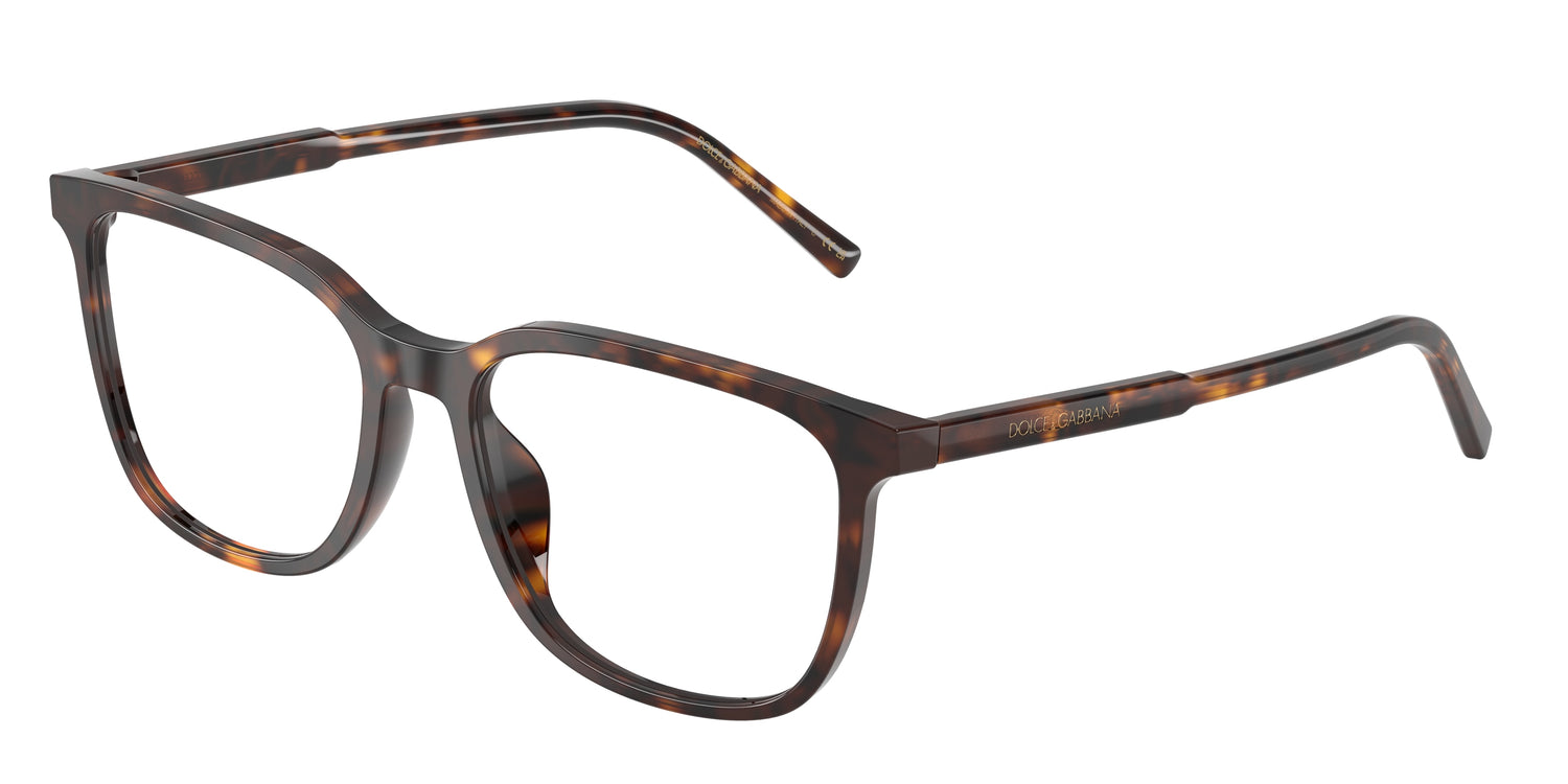 DOLCE &amp; GABBANA DG3445 502 55