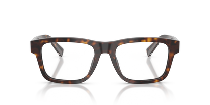 DOLCE &amp; GABBANA DG3446 502 51