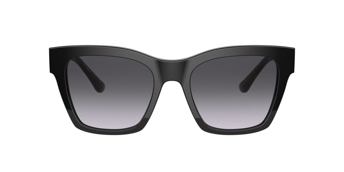 DOLCE & GABBANA DG4384 501/8G 53 - 2