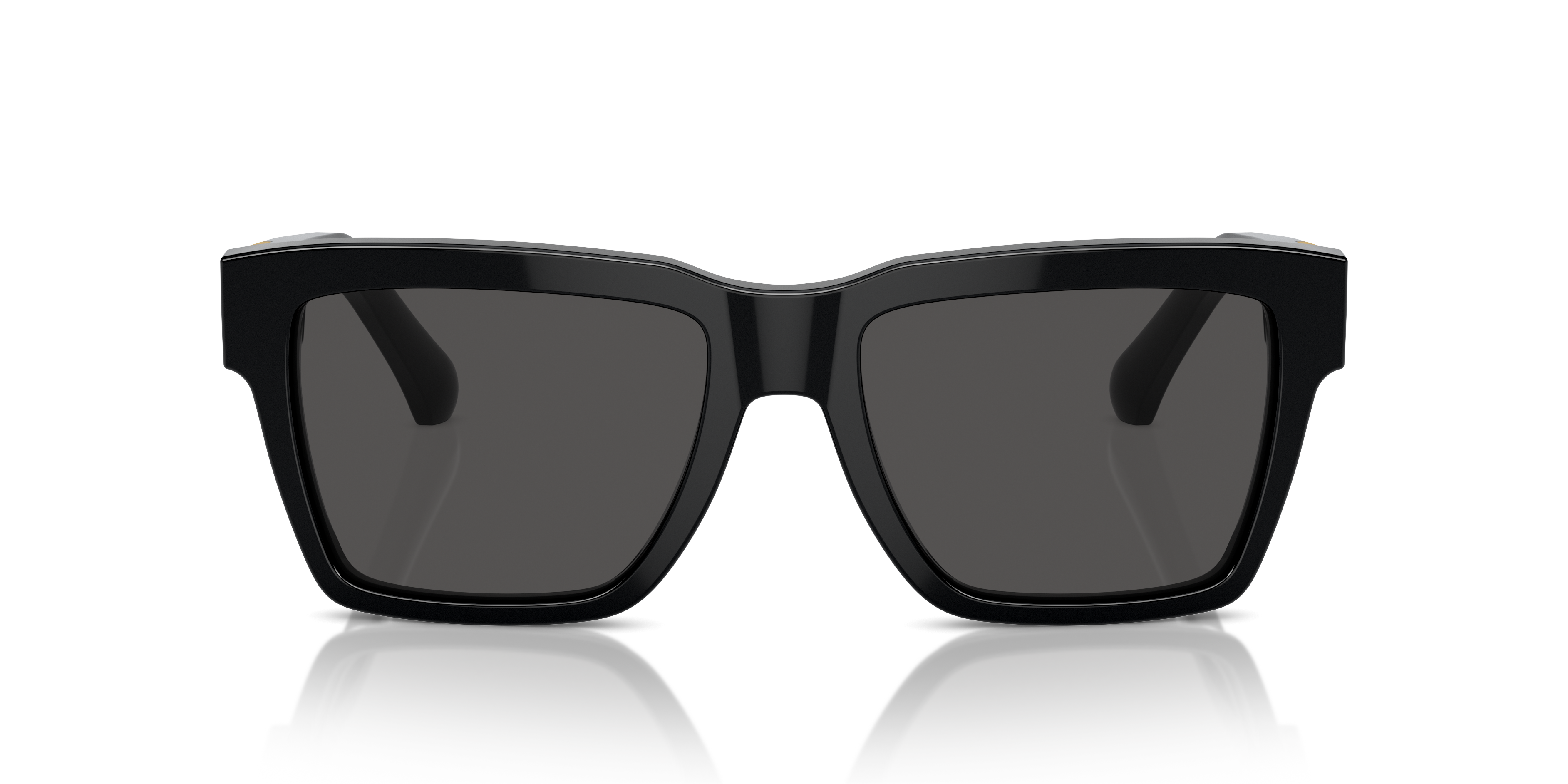 DOLCE &amp; GABBANA DG4465 501/87 55