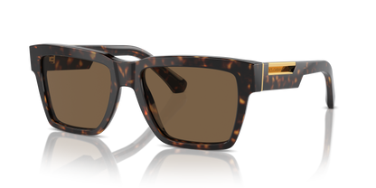 DOLCE &amp; GABBANA DG4465 502/73 55