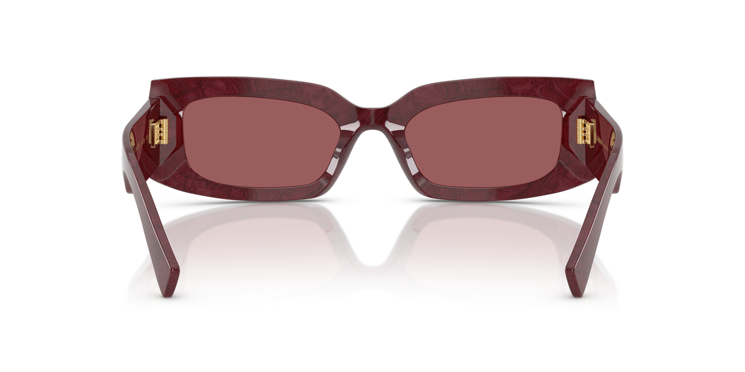 DOLCE &amp; GABBANA DG4479 3442D0 55