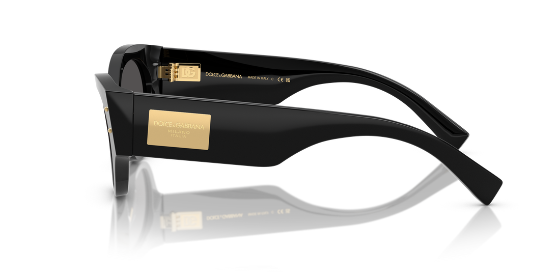 DOLCE &amp; GABBANA DG4480 501/87 53