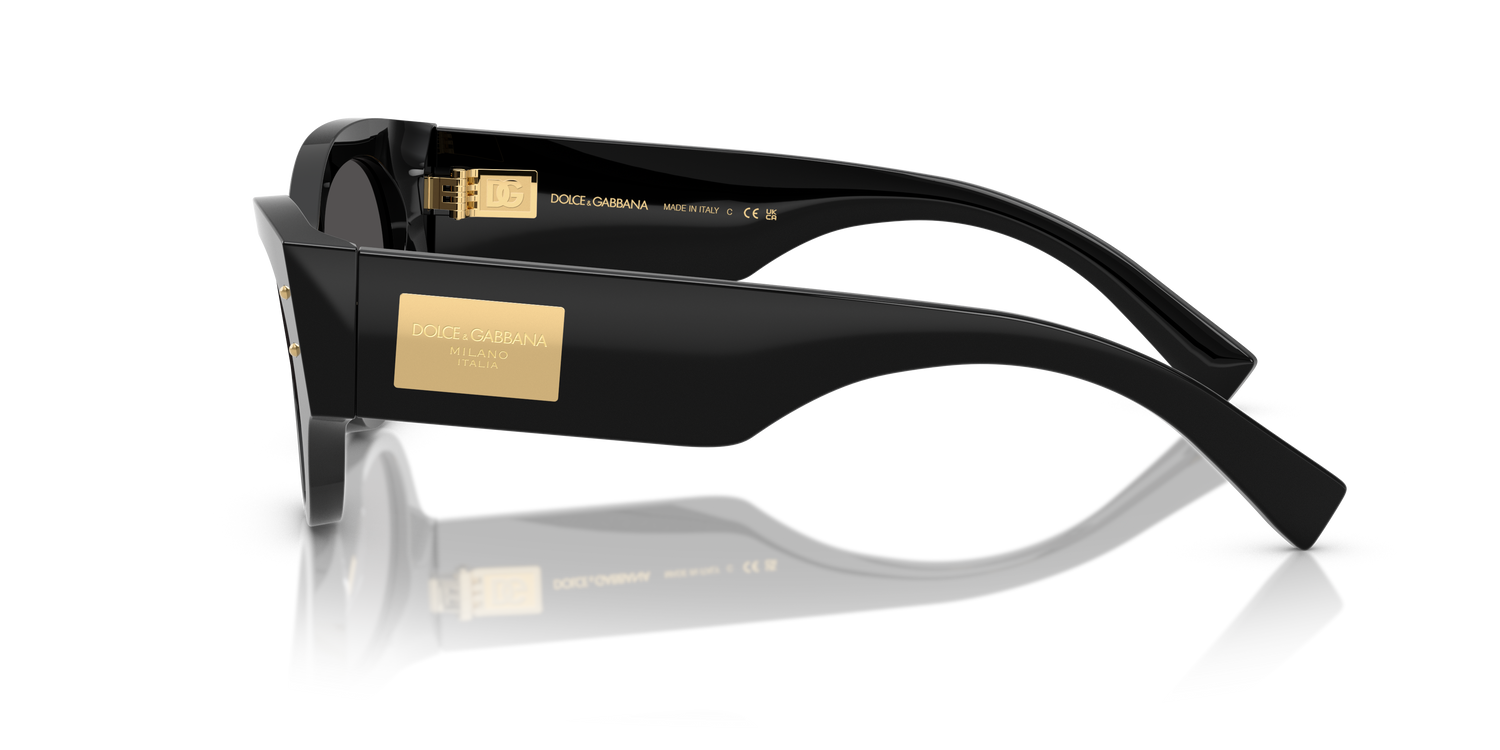 DOLCE &amp; GABBANA DG4480 501/87 53