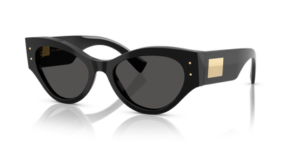 DOLCE &amp; GABBANA DG4480 501/87 53