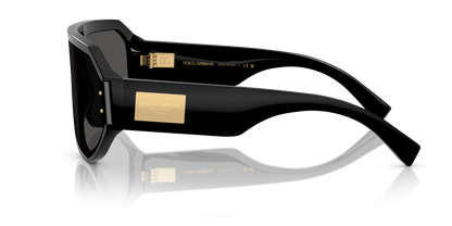 DOLCE &amp; GABBANA DG4481 501/87 47