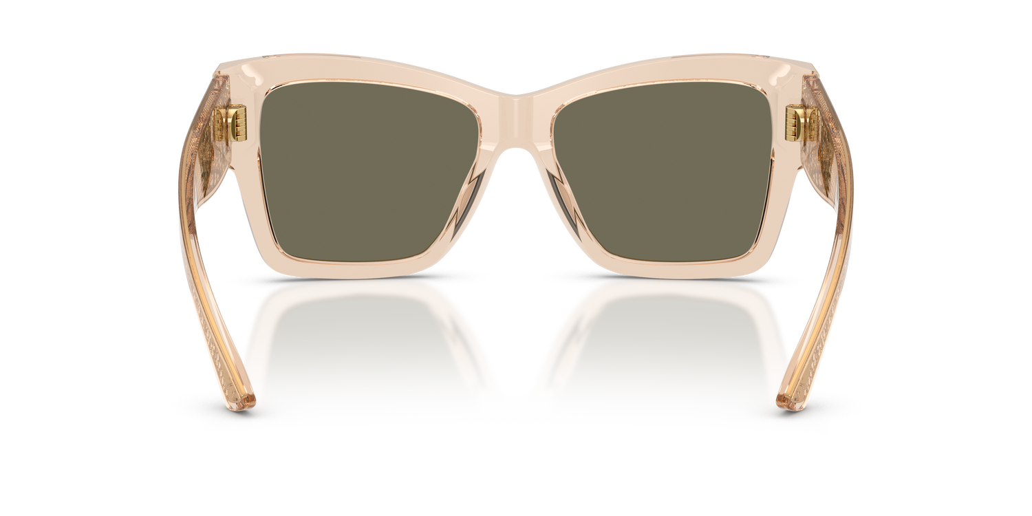 DOLCE &amp; GABBANA DG4493 343203 55