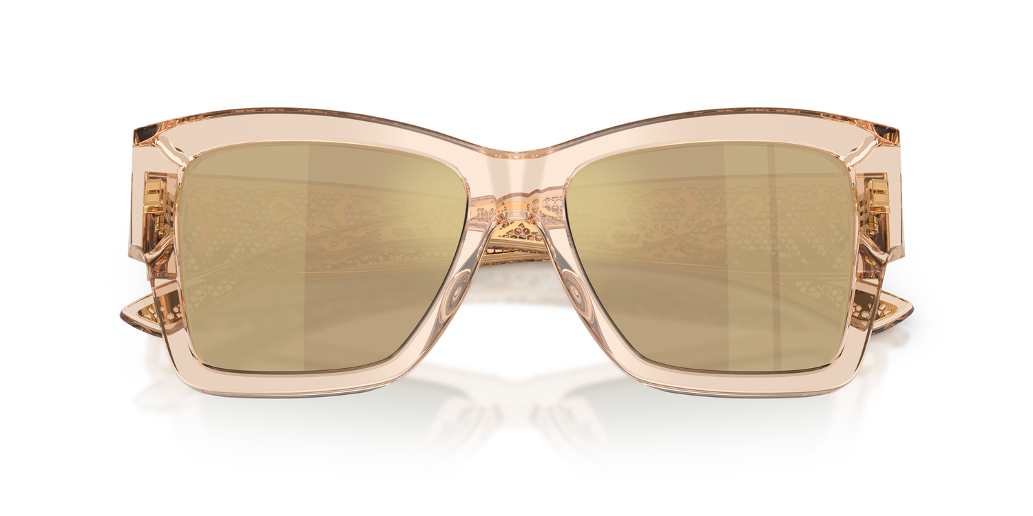 DOLCE &amp; GABBANA DG4493 343203 55