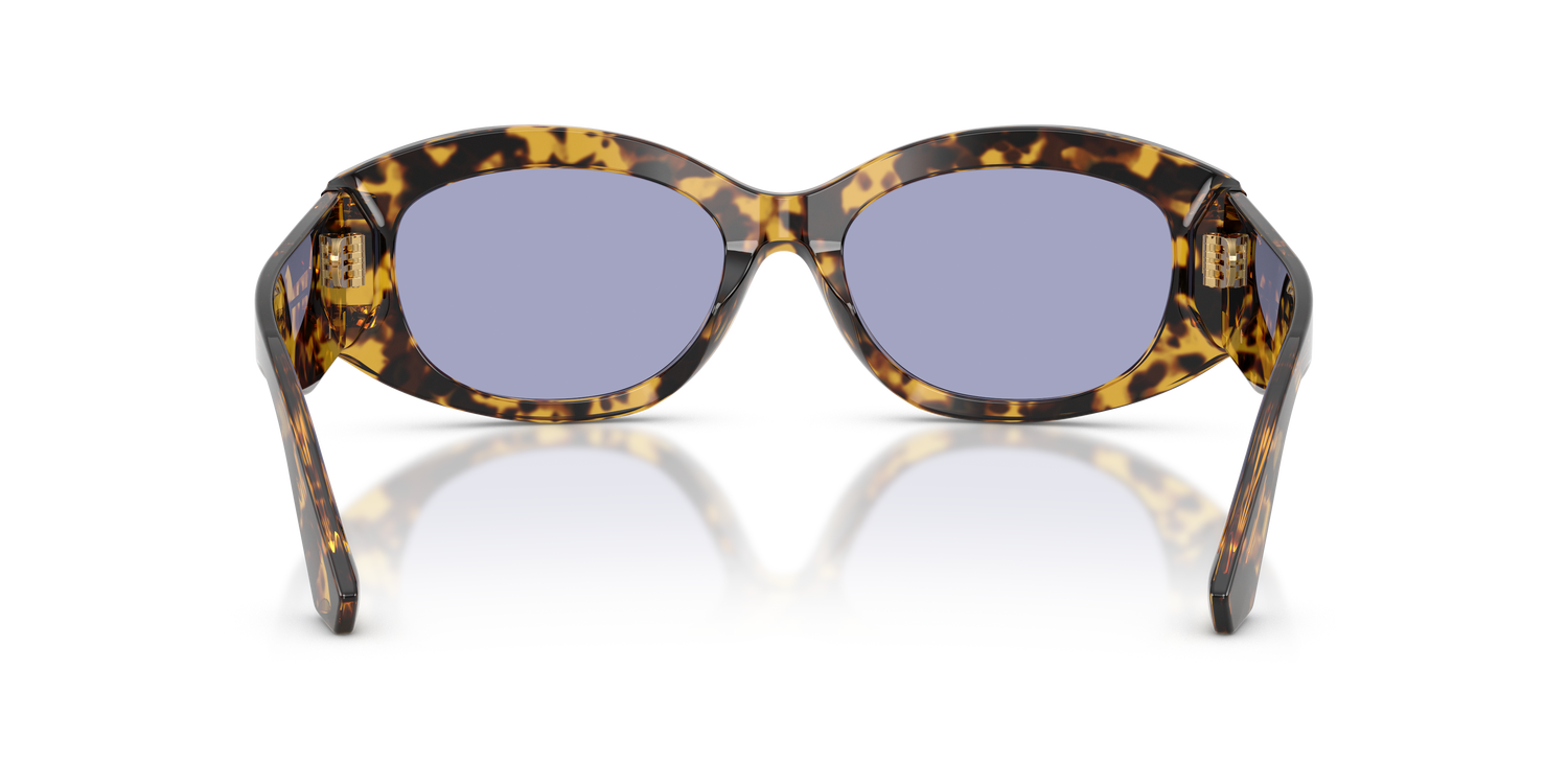 DOLCE &amp; GABBANA DG4502 33301A 55