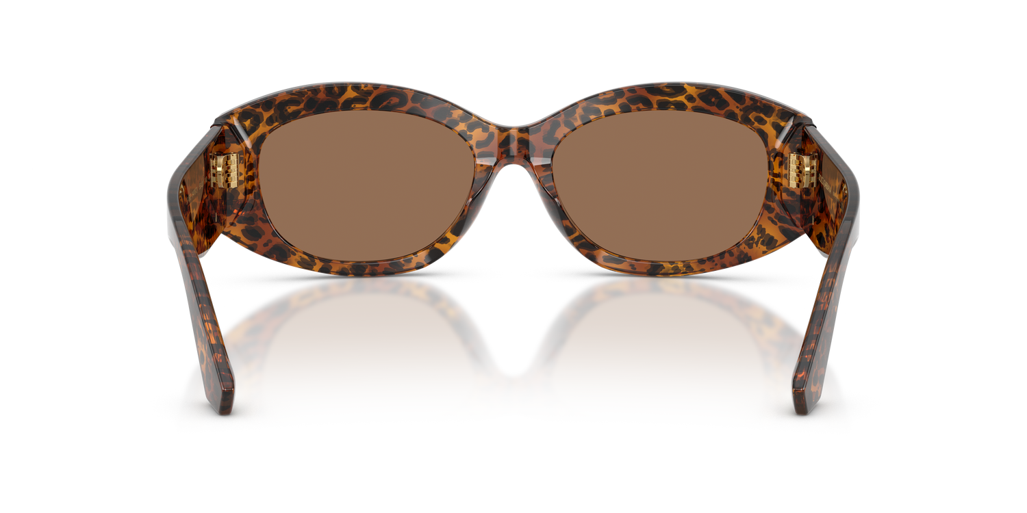 DOLCE &amp; GABBANA DG4502 347073 55