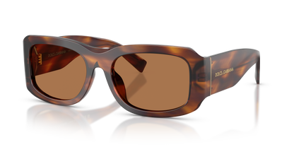 DOLCE &amp; GABBANA DG4503 306373 57