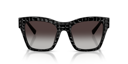 DOLCE &amp; GABBANA DG4512 32888G 53