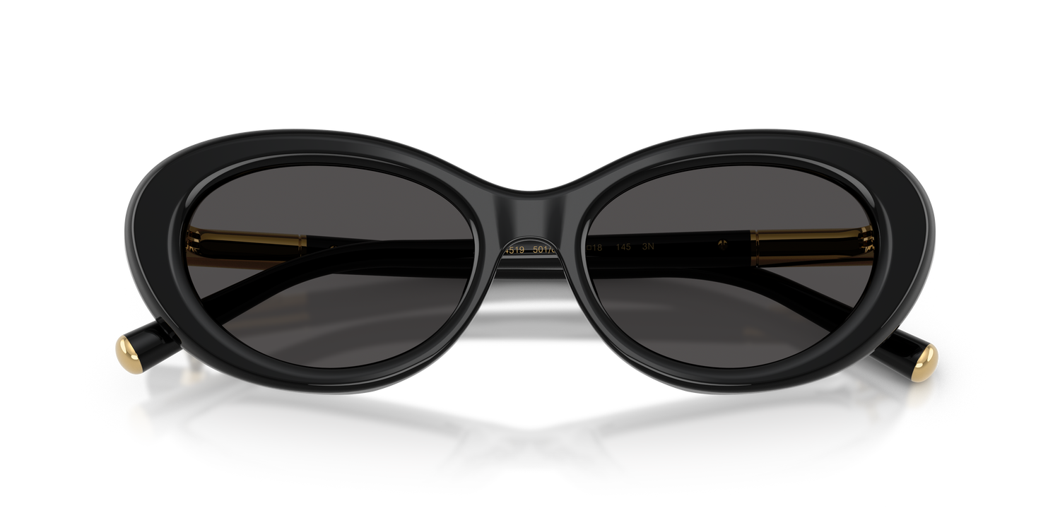 DOLCE &amp; GABBANA DG4519 501/87 54