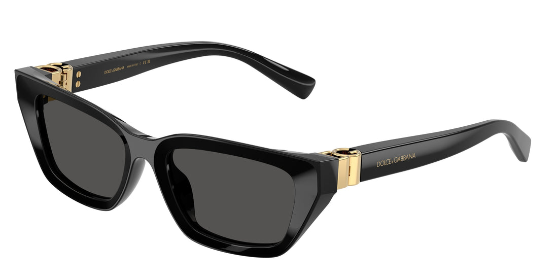 Sunglasses dolce & gabbana dg4532 501/87 negro cat eye femenino size 53mm - Main view