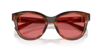 DOLCE &amp; GABBANA DG4533 322175 54