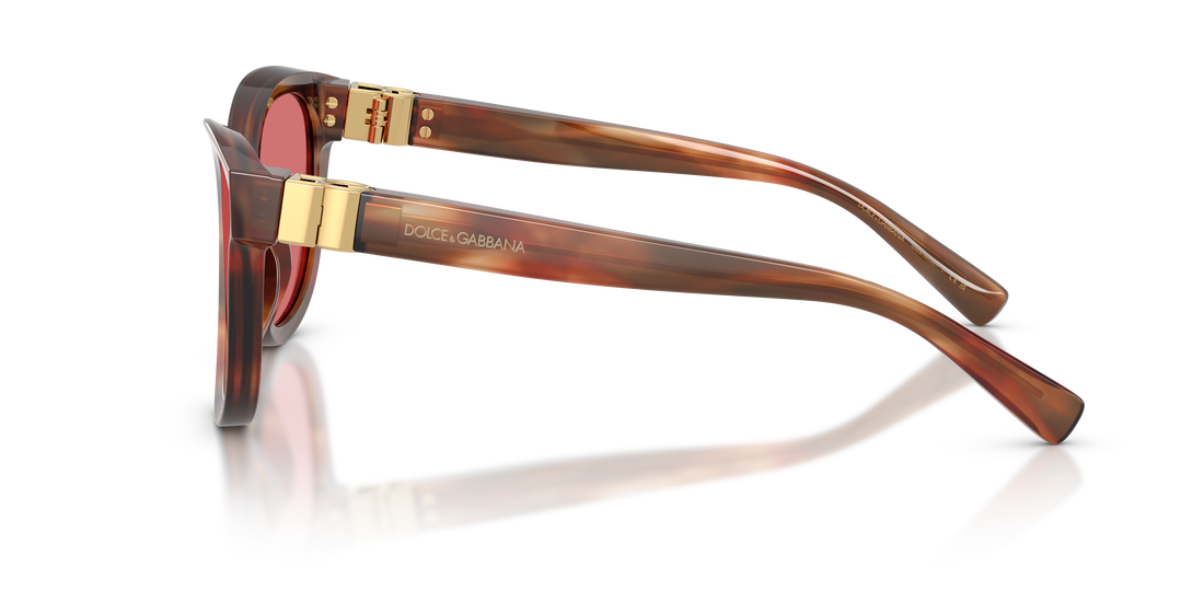 Sunglasses dolce & gabbana dg4533 322175 havana pantos femenino size 54mm - Detailed view